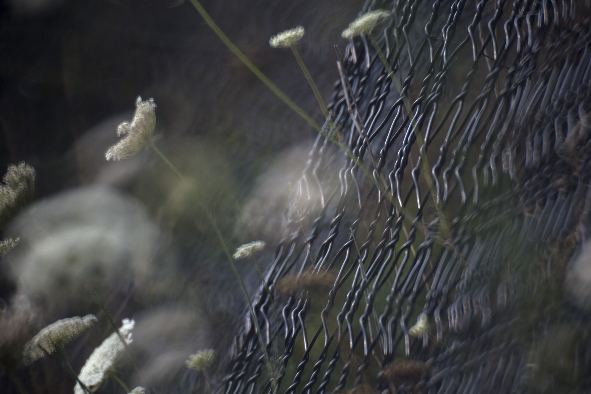 anthropogeology (a veil to cover all stones ii) , 2018 digital archival print 24 x 36 in. Neahkahnie Viewpoint, Oregon