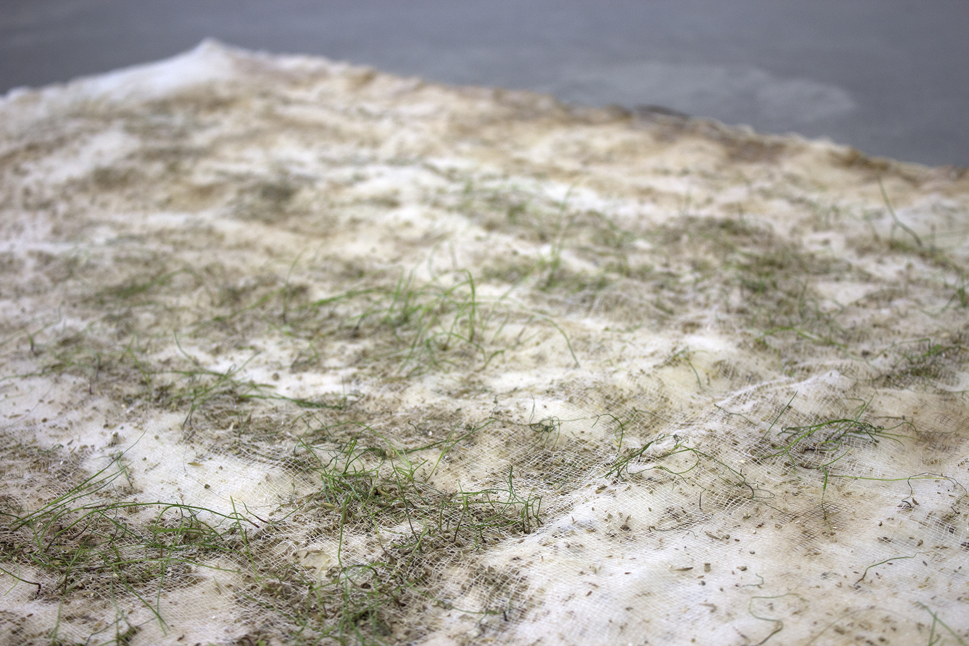 Michaela Silverman Fibre Structures I , 2017 Concordia University Body as Site / Consider the body as an alternative to an architectural space, immersive landscape, or digital environment as the location for your piece. Over the course of th