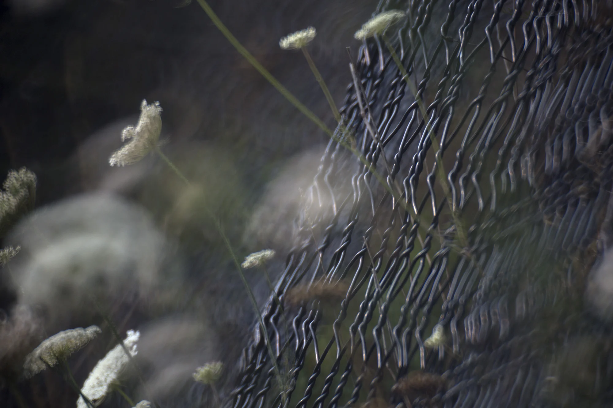 anthropogeology (a veil to cover all stones ii) , 2018 digital archival print 24 x 36 in. Neahkahnie Viewpoint, Oregon