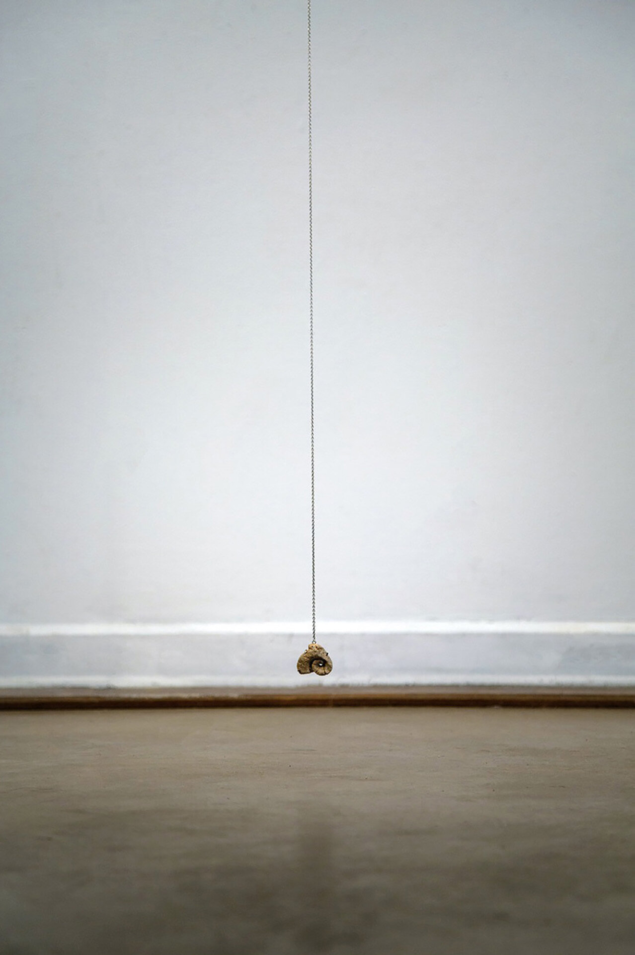    gastropod pendulum  , 2019 collected gastropod fossil, silver chain 15 ft. x 3 in. x 1 in. setting by Beth Burns-Jones 
