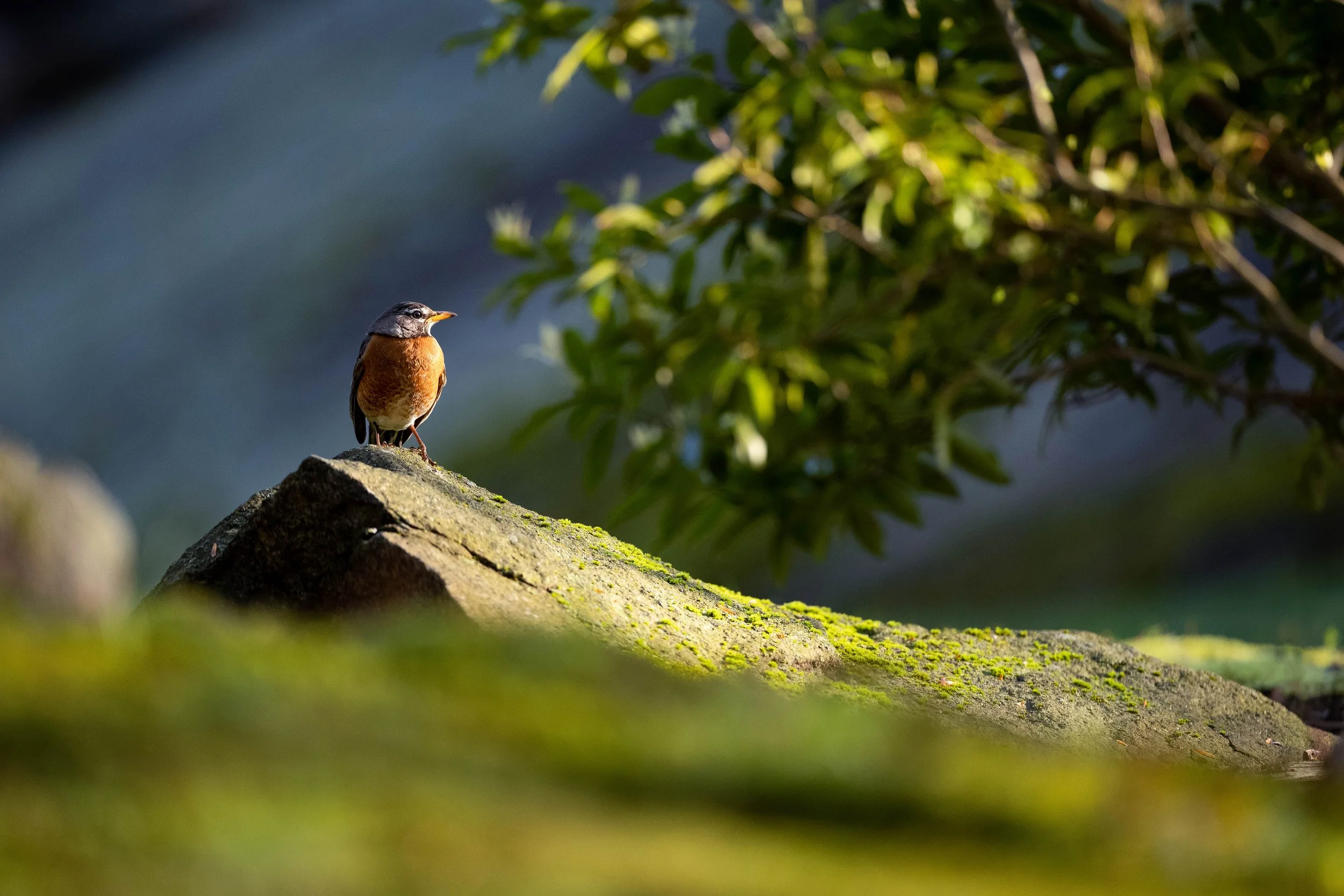_N8A5673-Edit.jpg