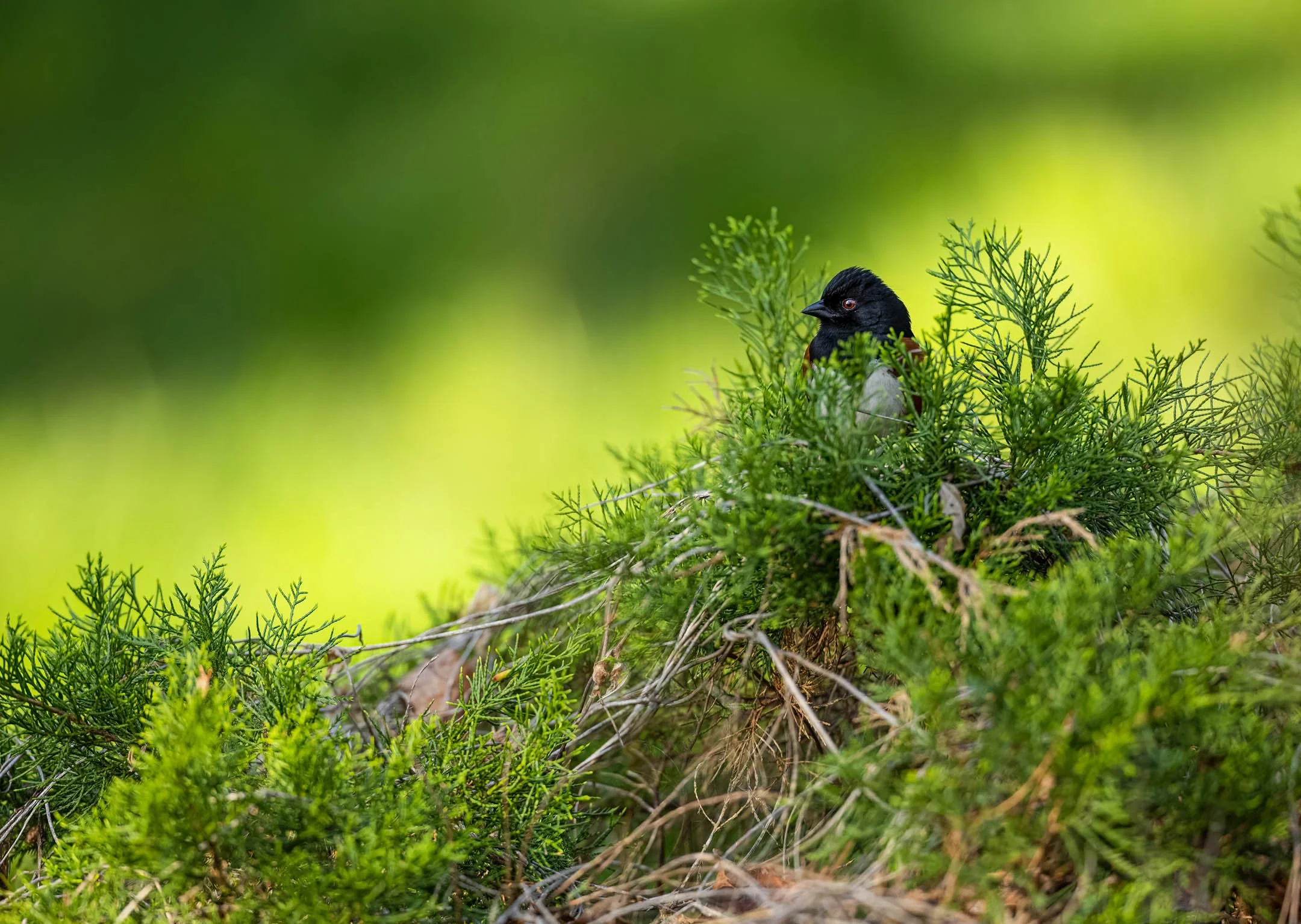 _N8A5592-Edit-Edit-5.jpg