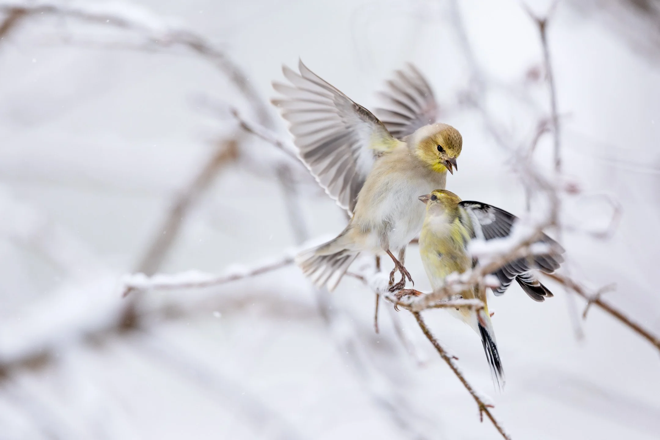 _N8A5837-Edit.jpg