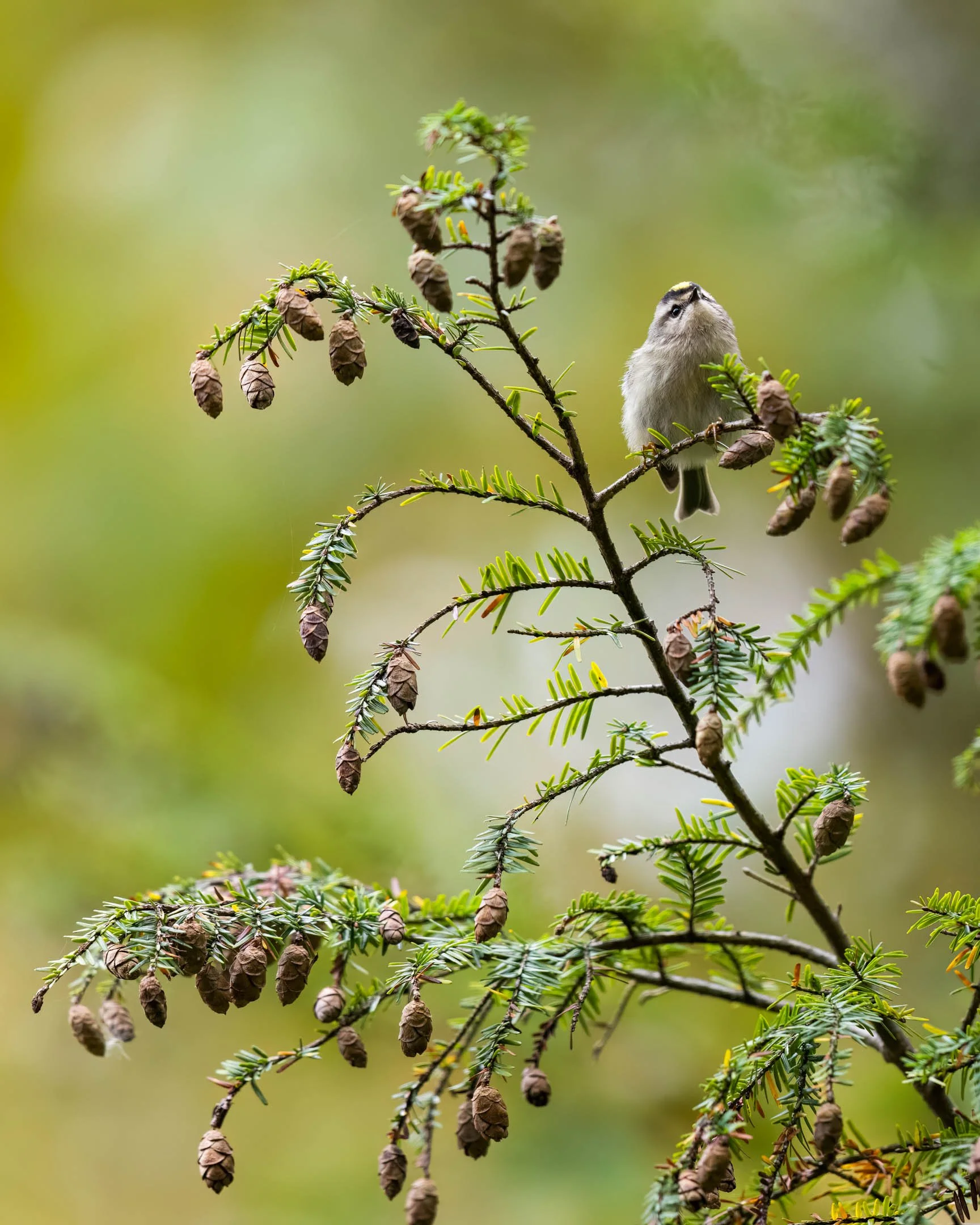 _U3A6093-Edit.jpg