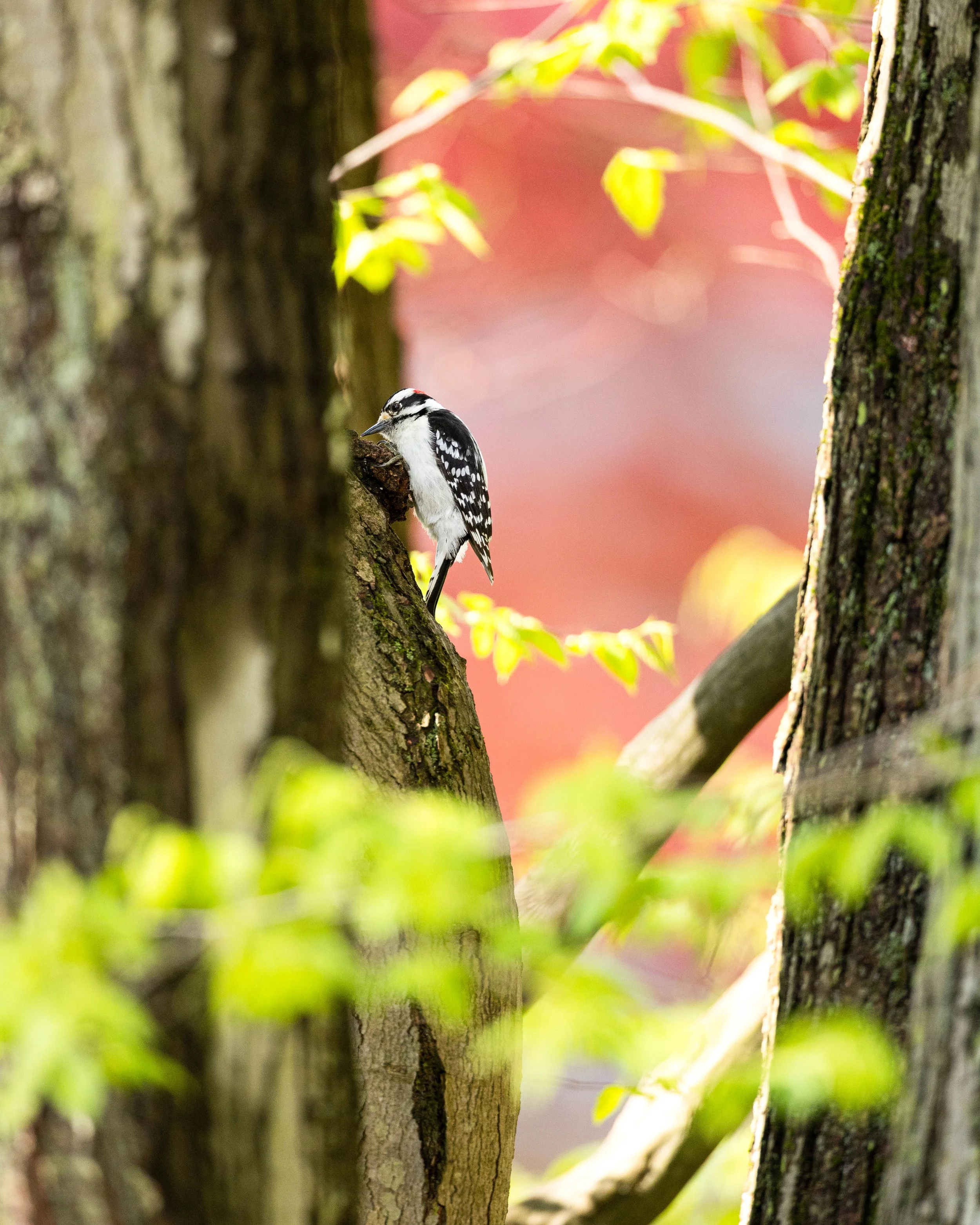 _N8A5607-Edit.jpg