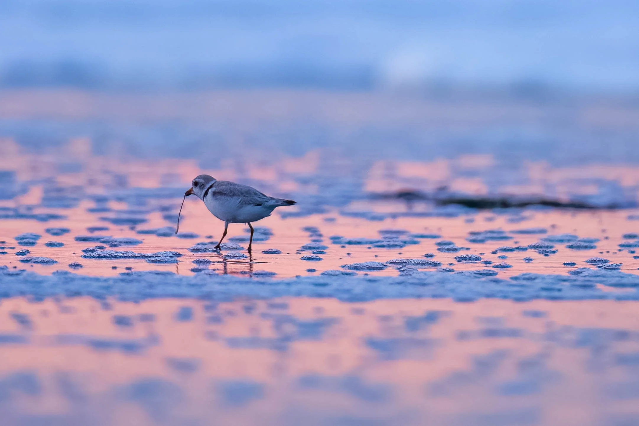 _N8A0966-Edit.jpg