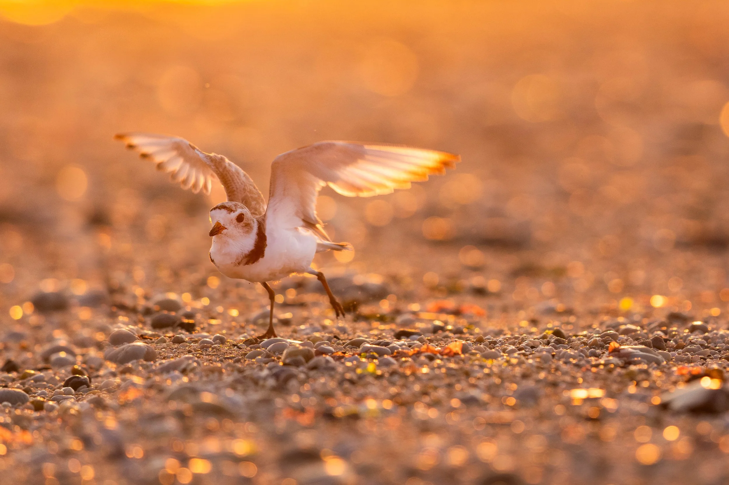 _U3A4524-Edit.jpg