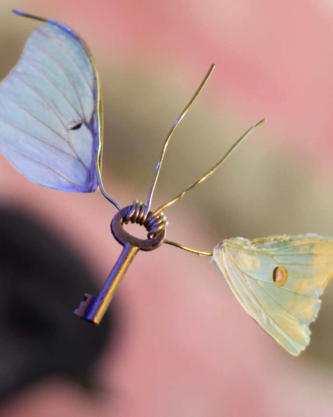 A wayfly is a winged-key found in the wilds of the Dream Syndicate. Found individually, in pairs, or flying in flocks, wayflies often are found near ancient ruins or in catacombs. Capturing a wayfly takes guile, but the real clever feat is to determine which lock a given wayfly calls home.