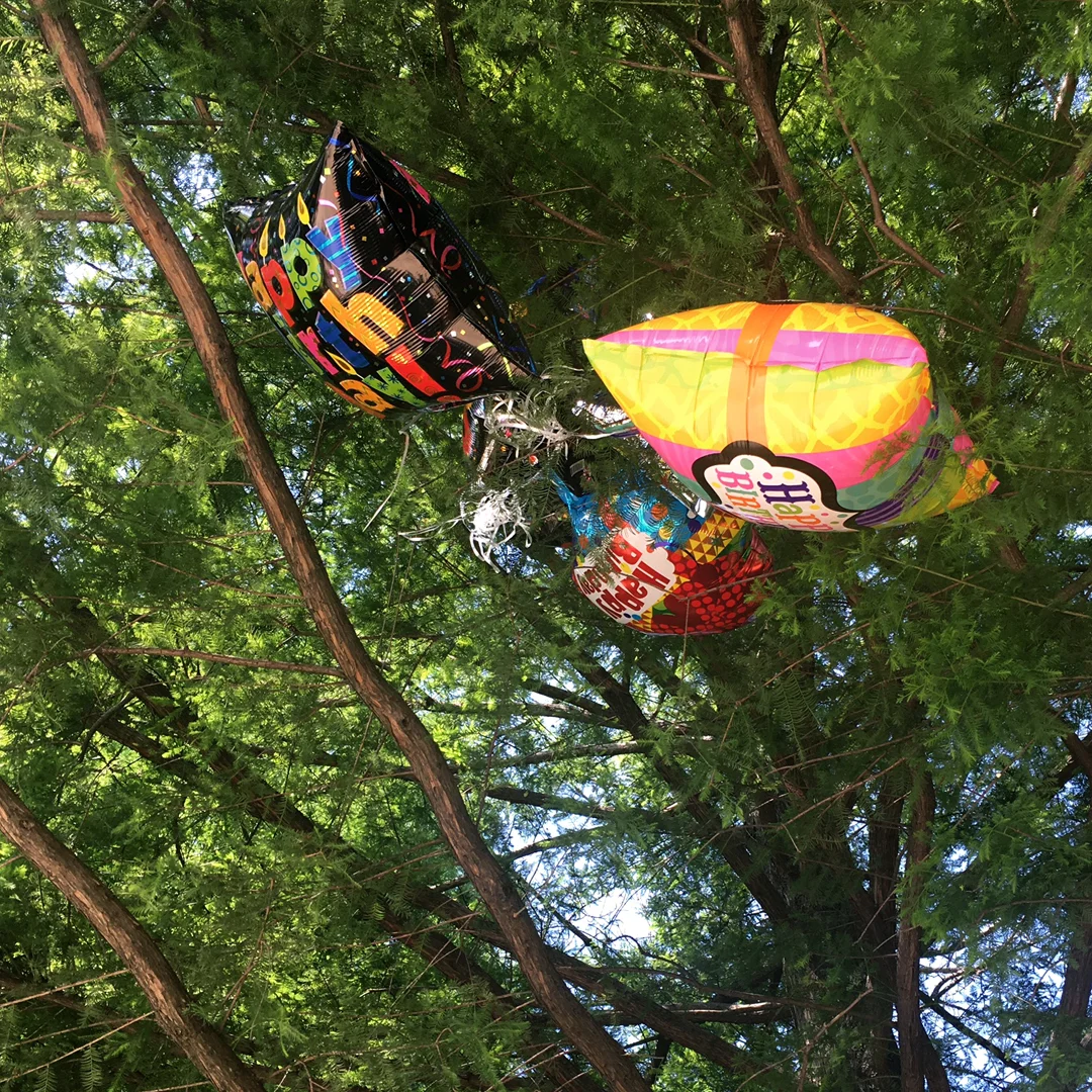 LostBalloons.JPG
