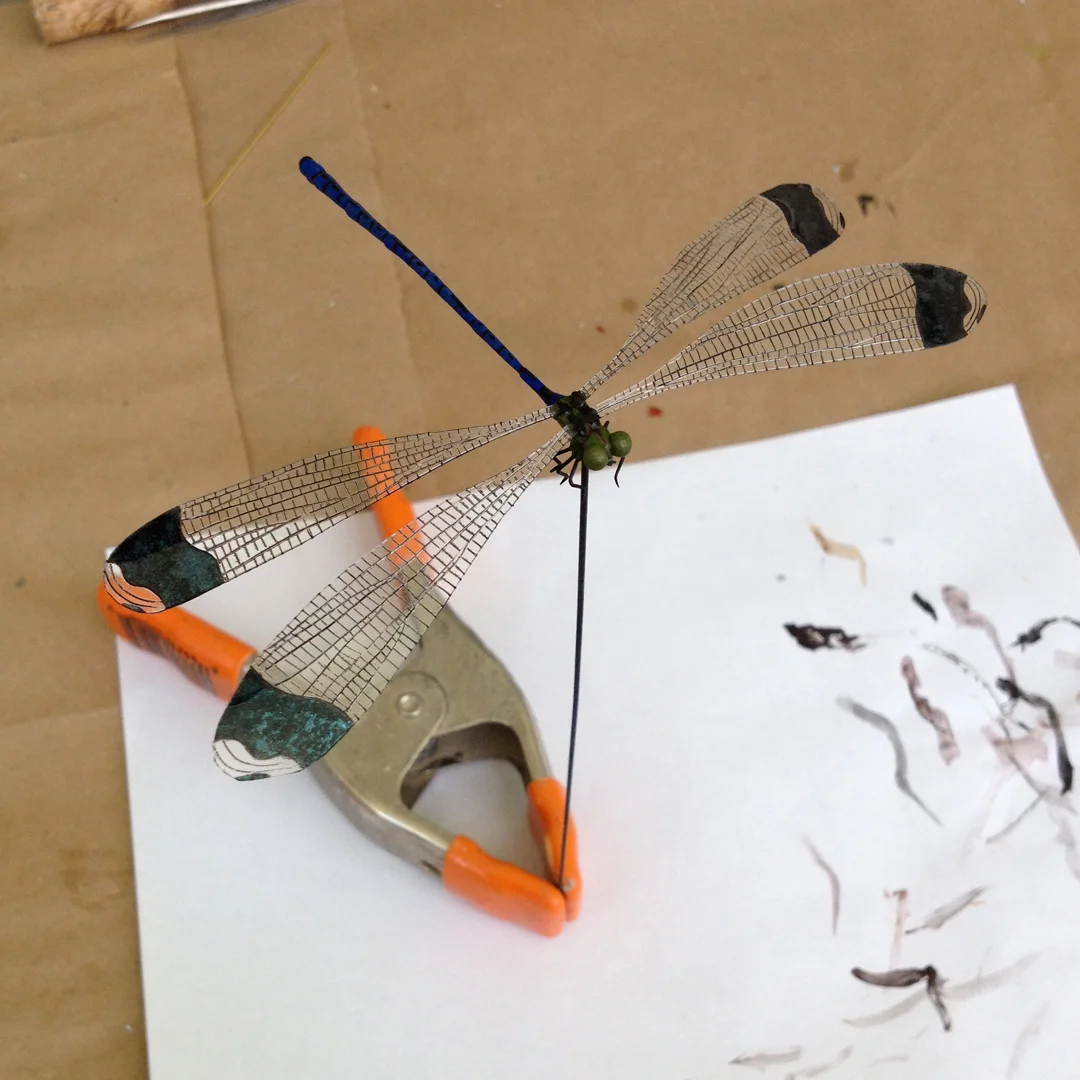 DragonflyModel.jpg