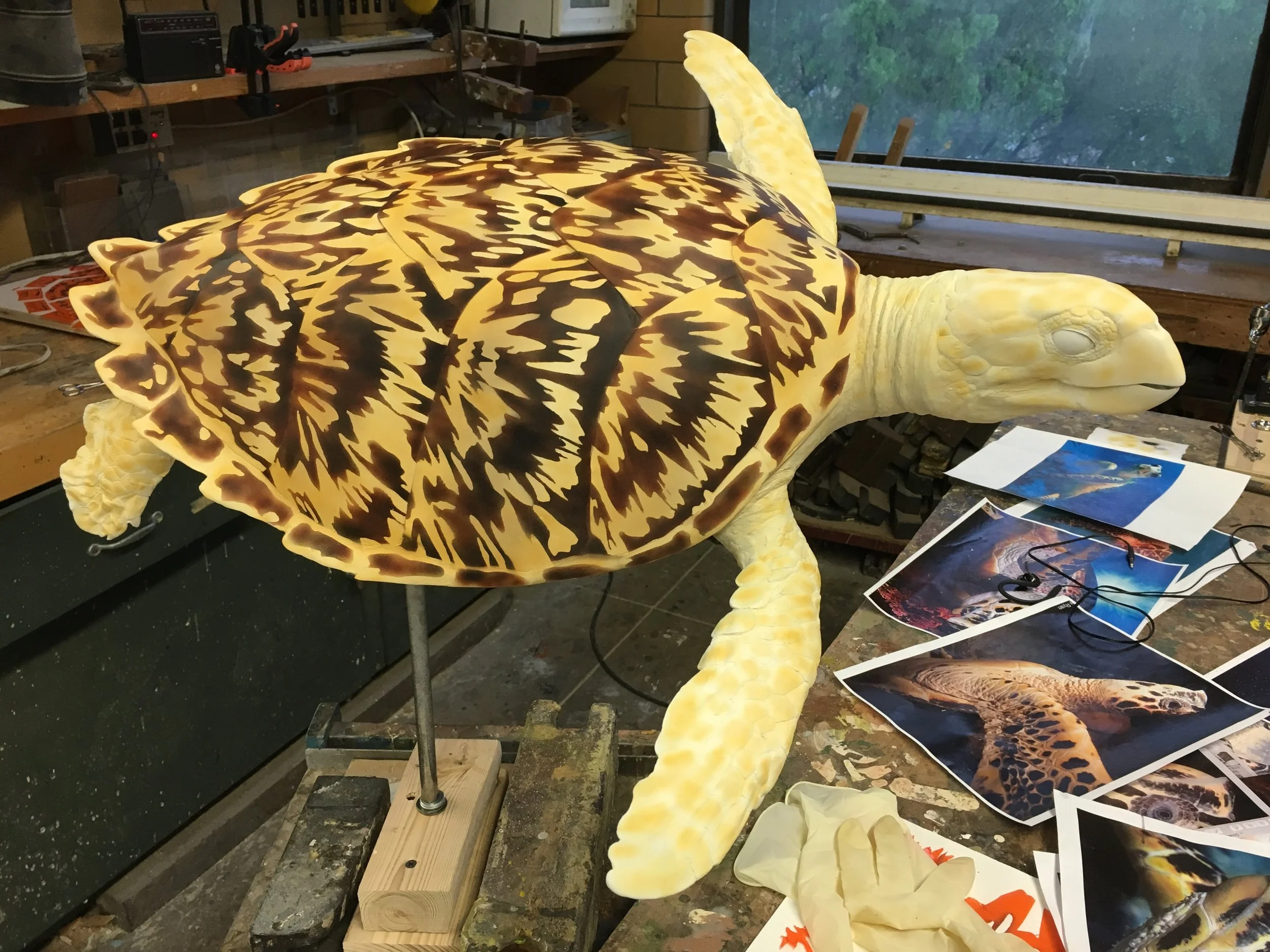 NaturalHawksbillUnderpainting.JPG