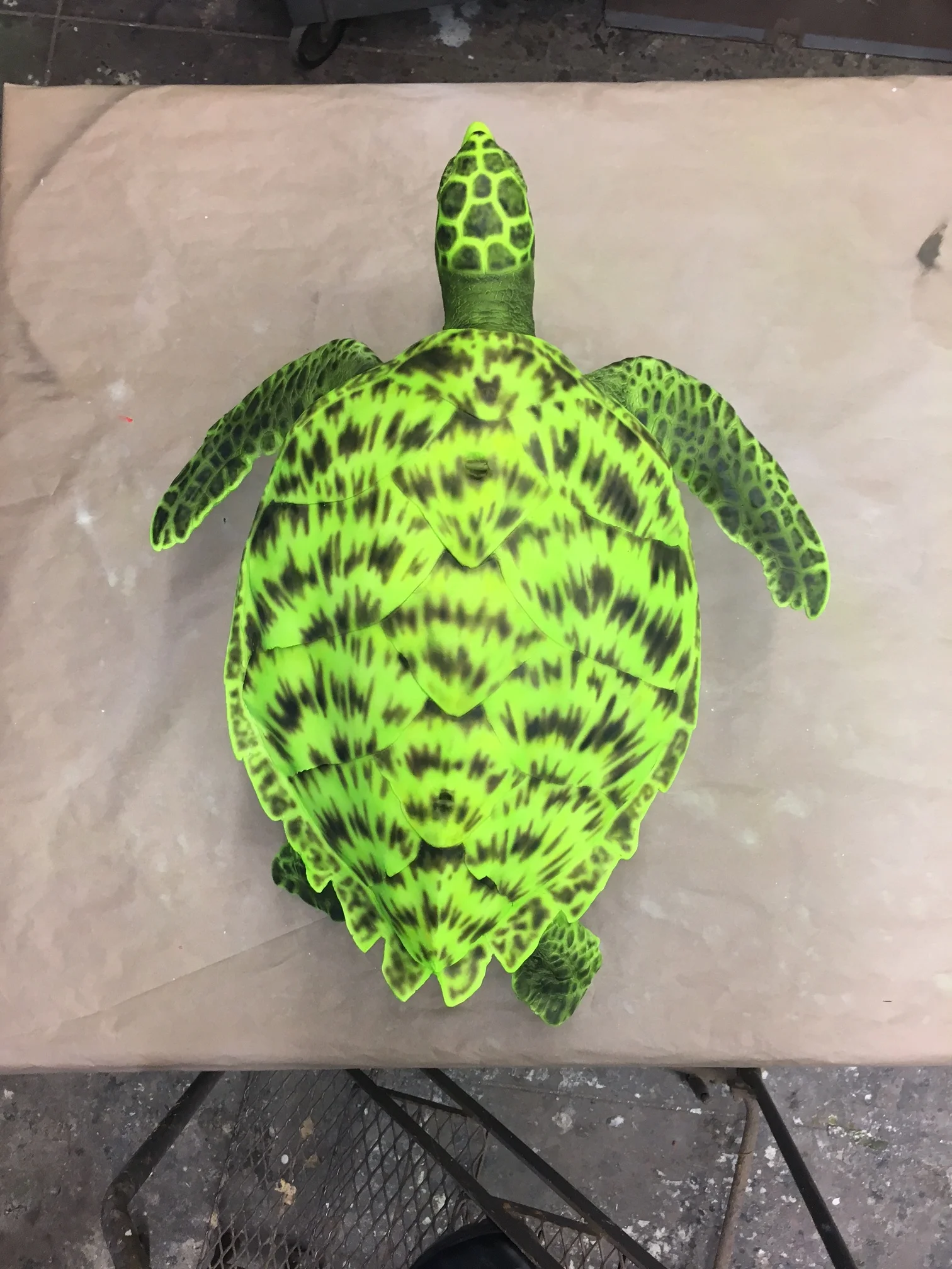 MinimalHawksbill.JPG