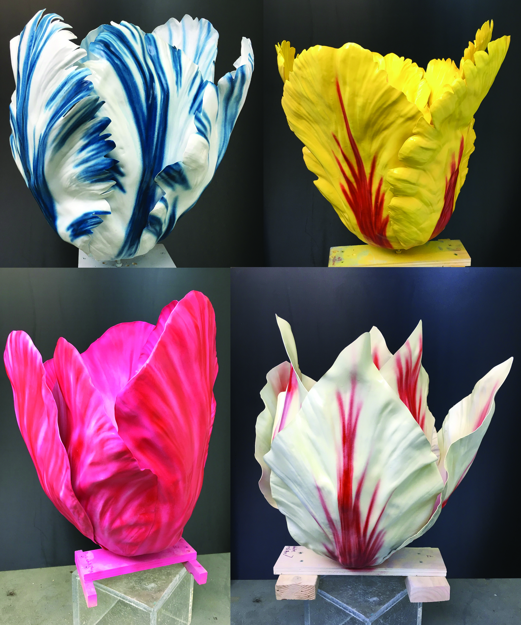 4TulipsFirst.jpg