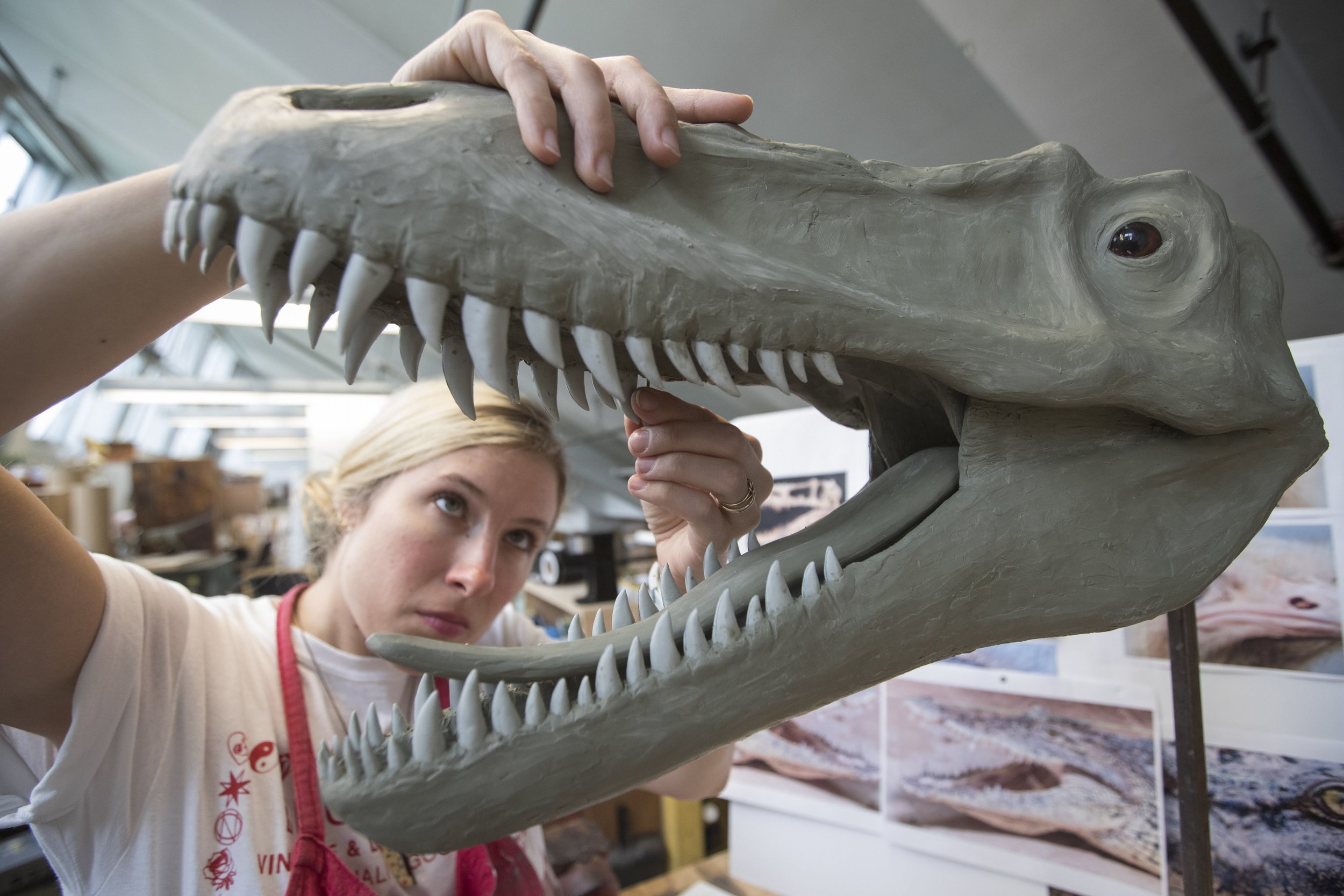 Working on the Head Sculpt