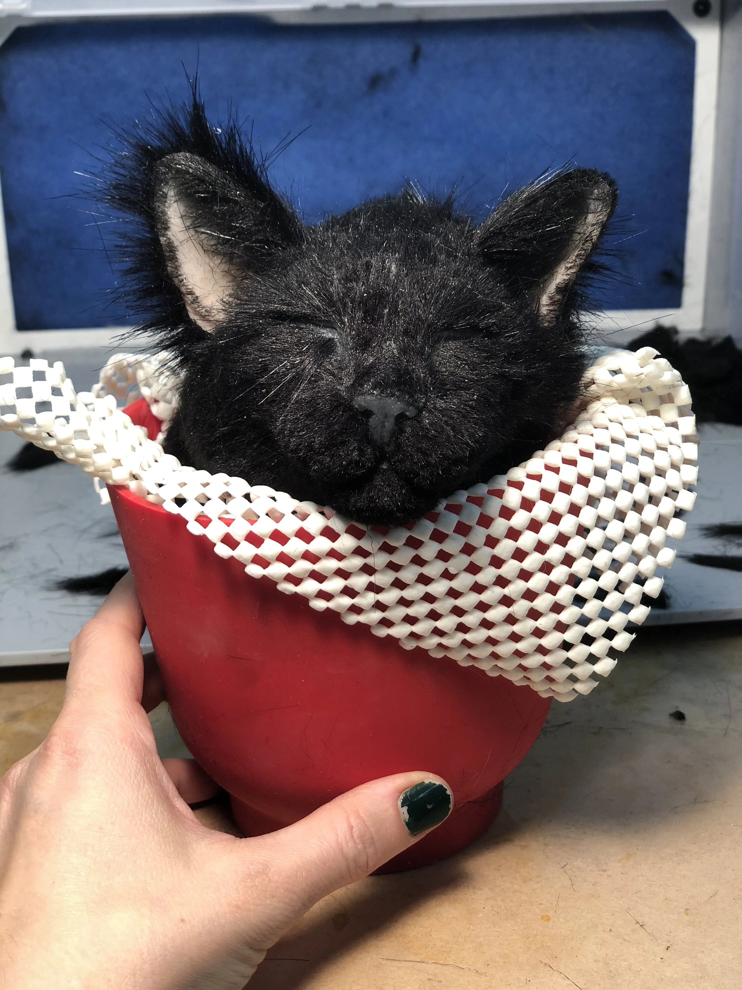 Adding Fur to Cat Face