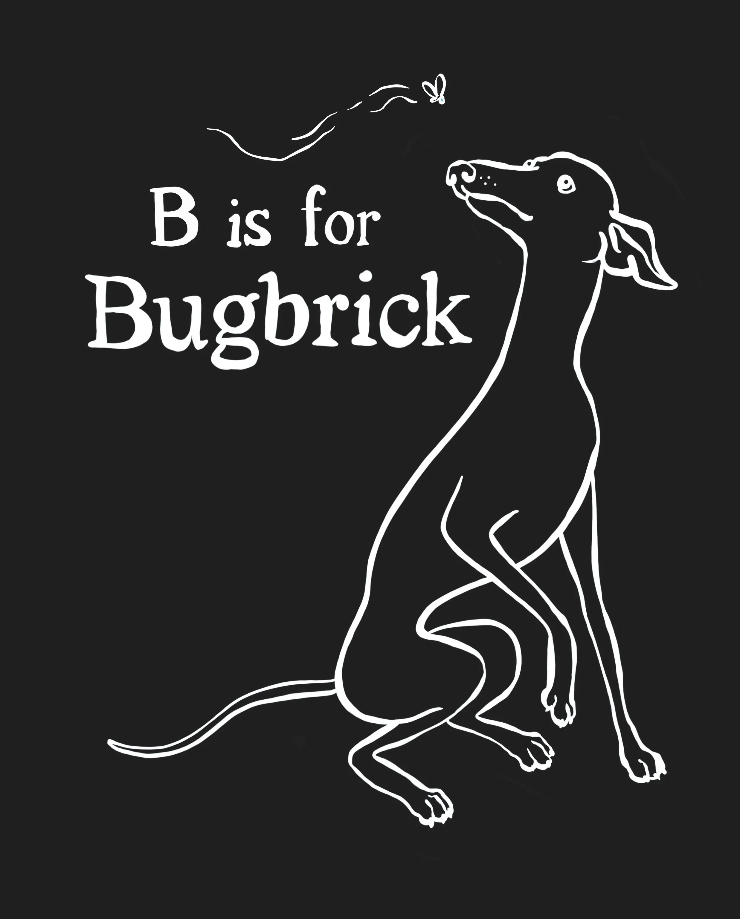  B is for Bugbrick 
