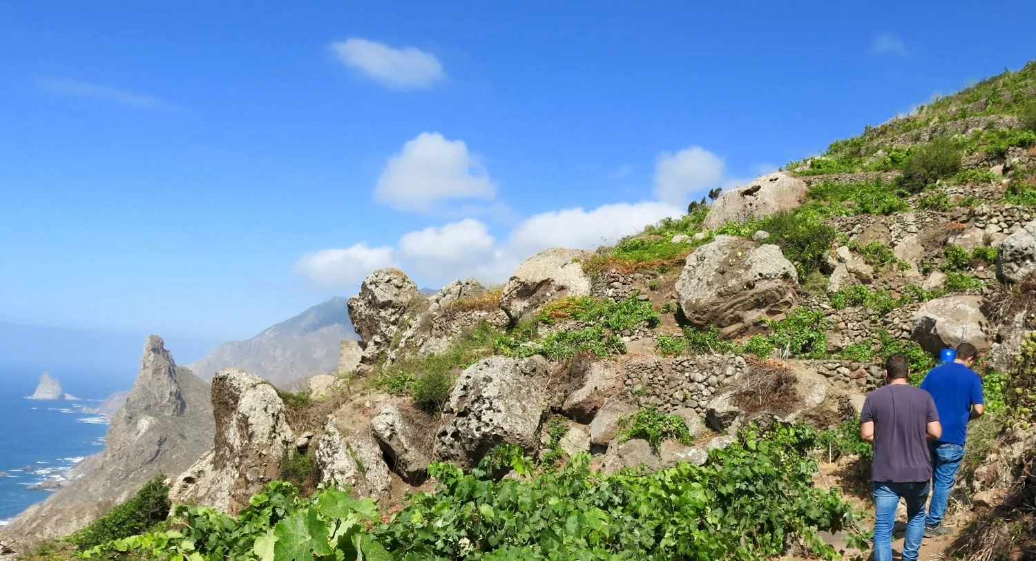 Envínate's ancient vines & volcanic wines 