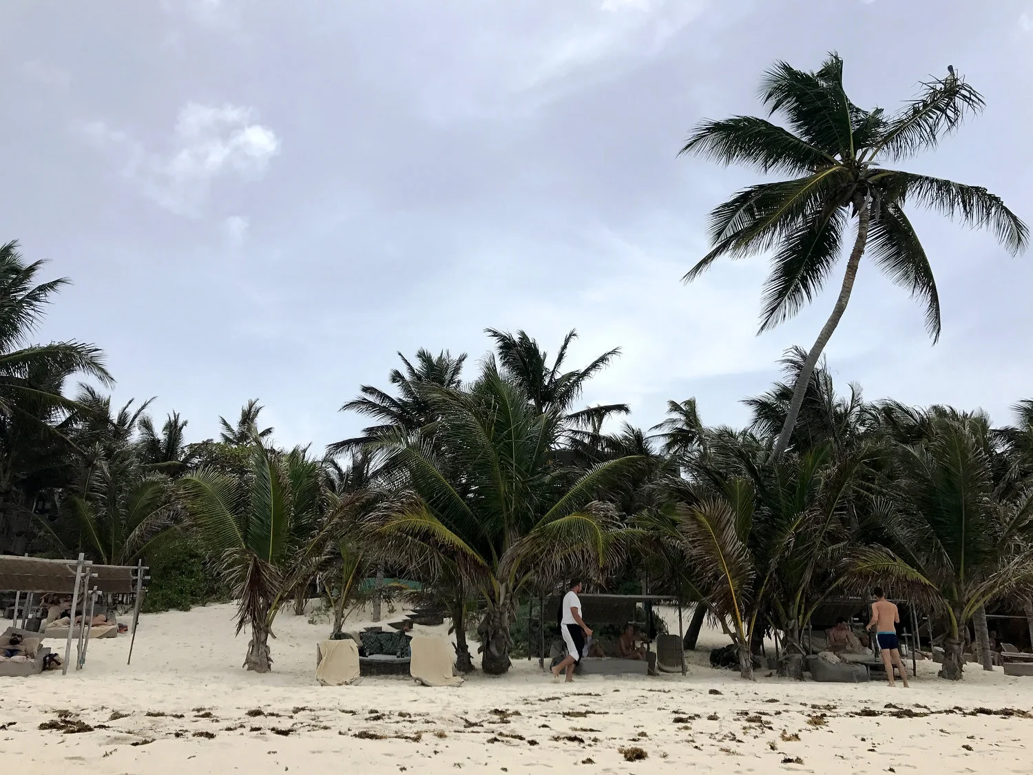 Bohemian Paradise in Tulum