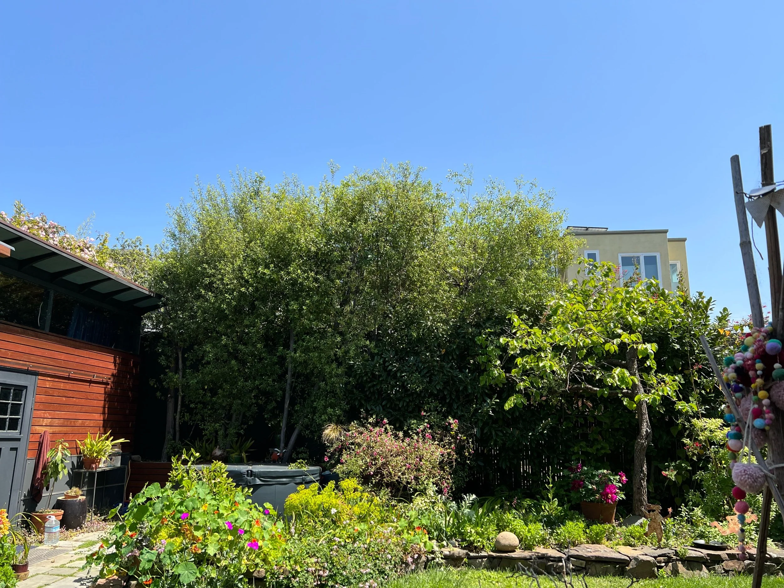 IMG_0870.jpeg