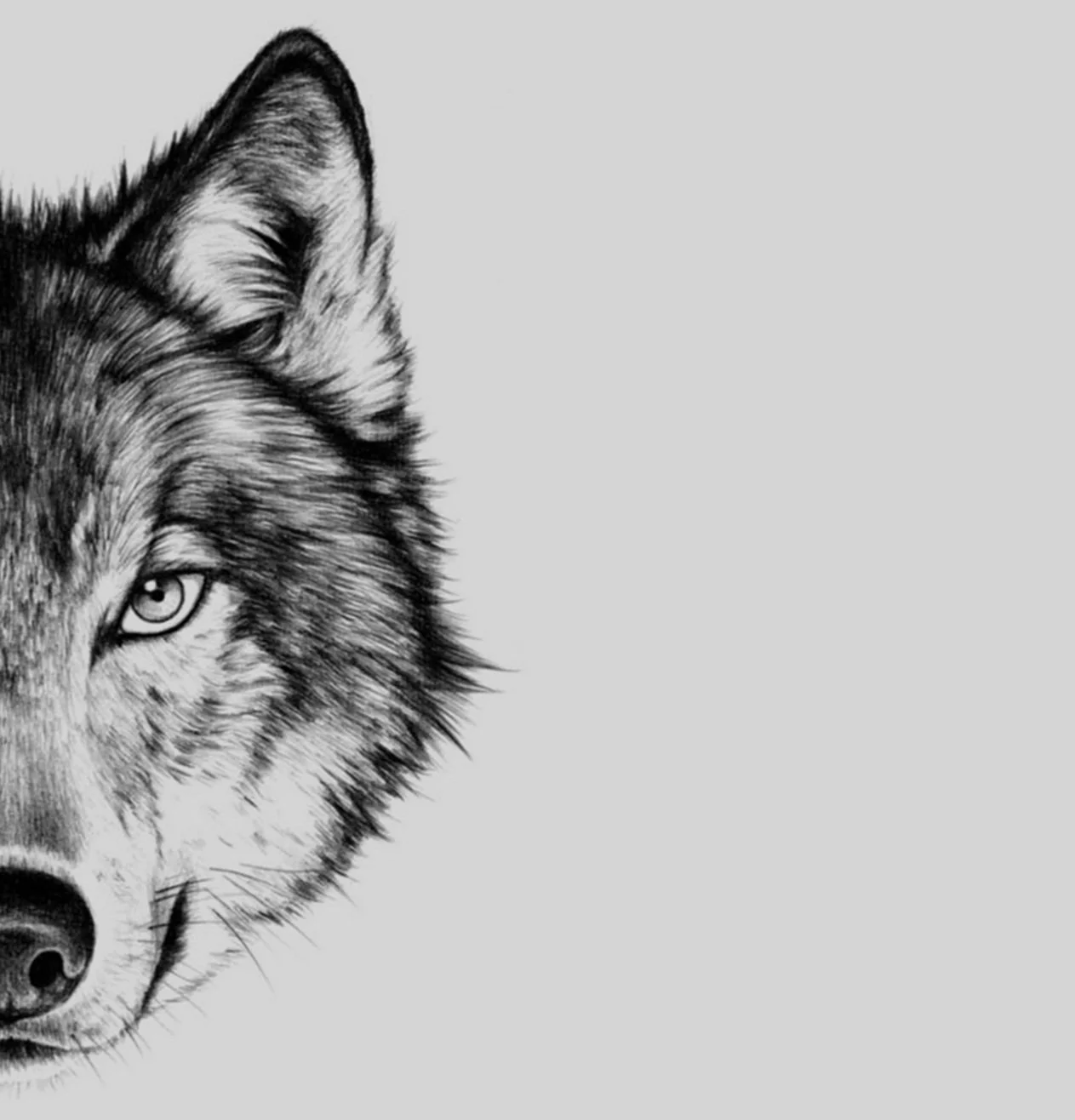 Regulate Yours, Behavioral Health Services