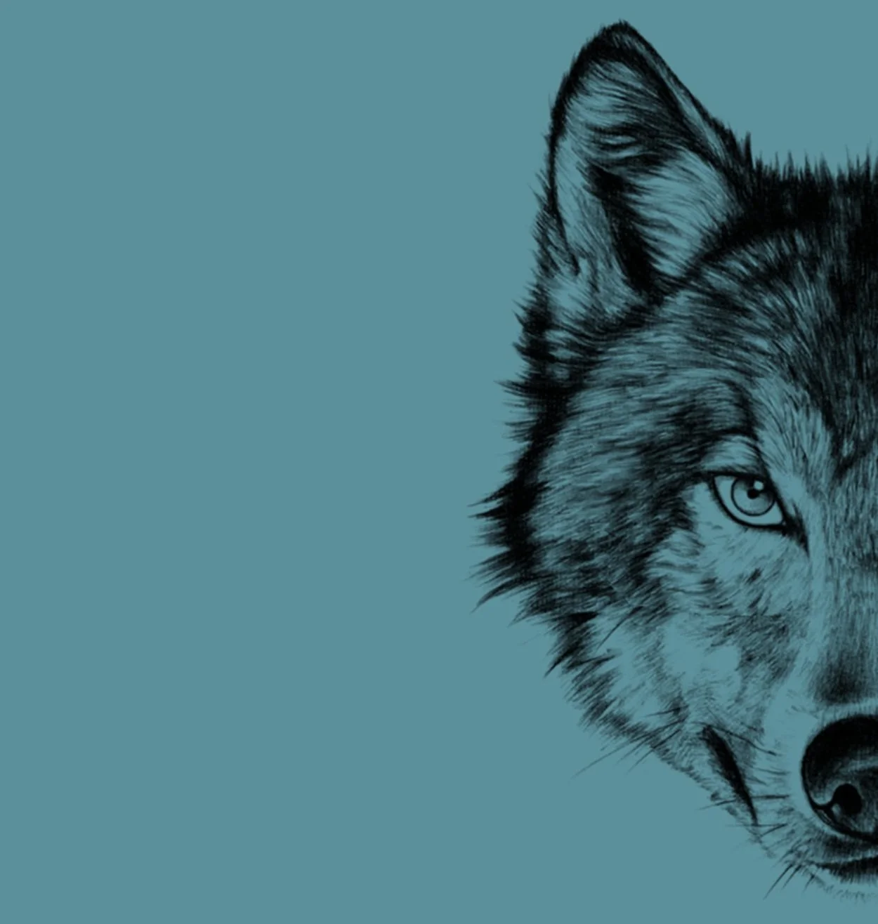 Regulate Yours, Behavioral Health Services