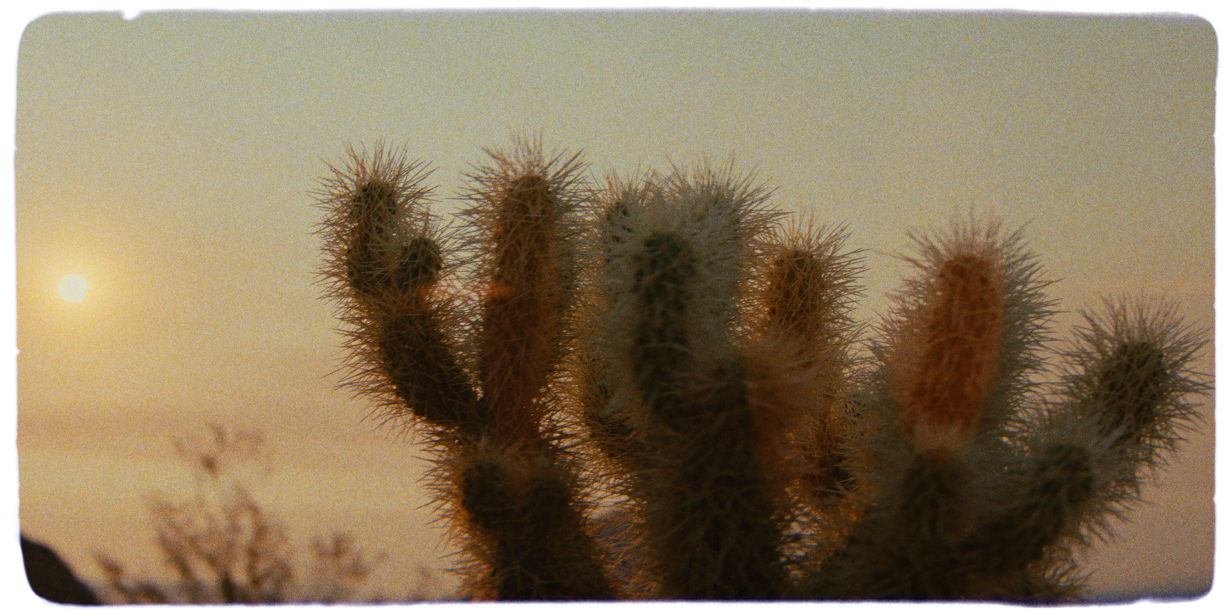 002413_PS_Suns Up_90s_IG.00_00_00_05.Still005.png