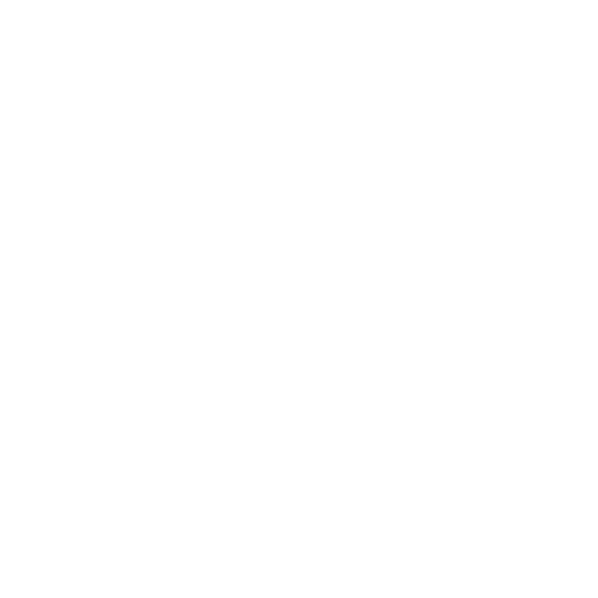 Follinger Foundation Logo.png