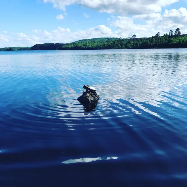 Paddle & Stay