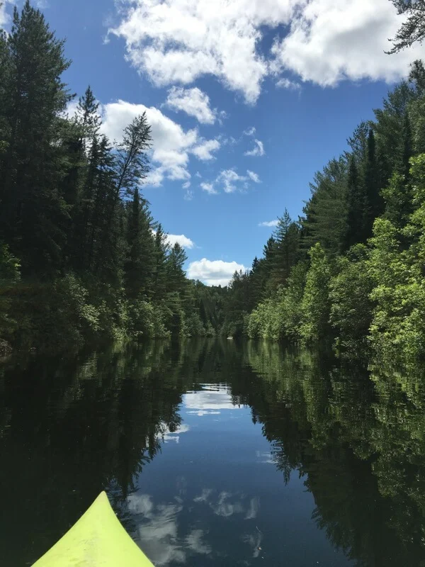 Birches Condo — Green Gate Guest Houses