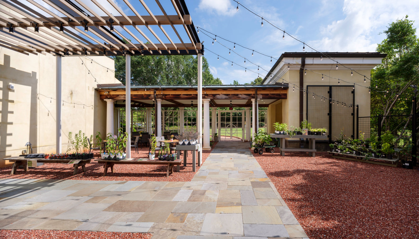 Screenshot 2025-08-01 083451.png