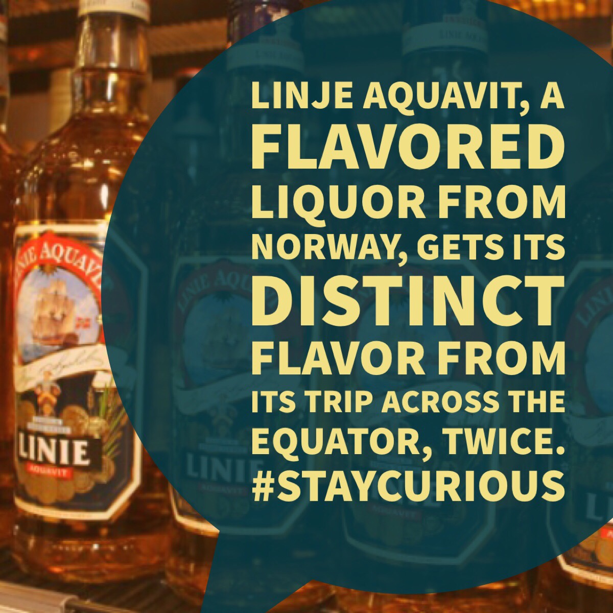 Linje Aquavit, a flavored liquor from Norway, gets its distinct flavor from its trip across the equator, twice.