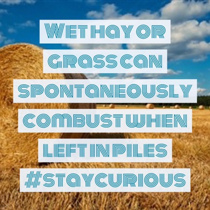 Wet hay or grass can spontaneously combust when left in piles
