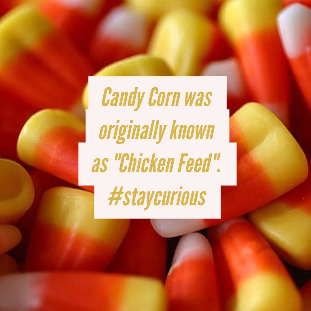 Candy Corn was originally known as "Chicken Feed". — Curionic