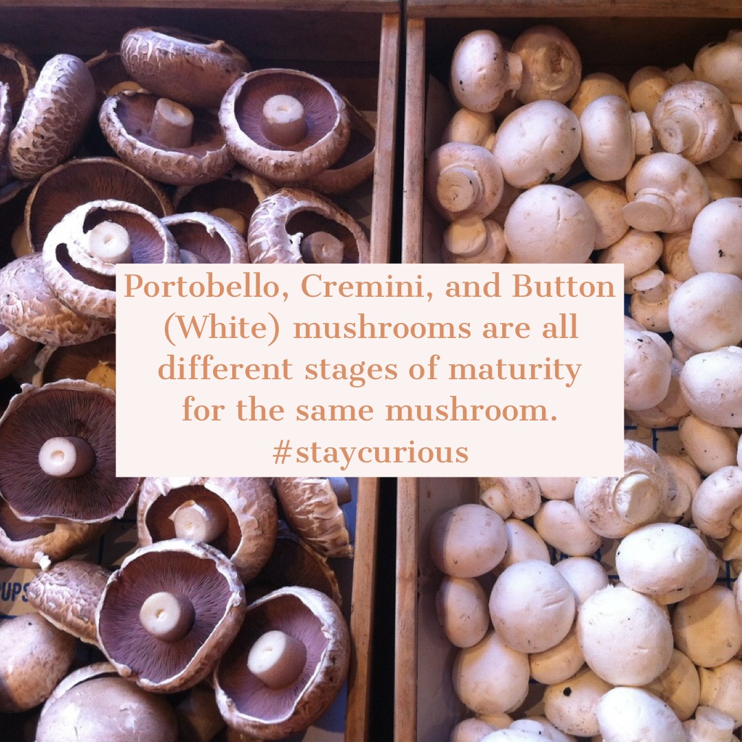 Portobello, Cremini, and Button (White) mushrooms are all different