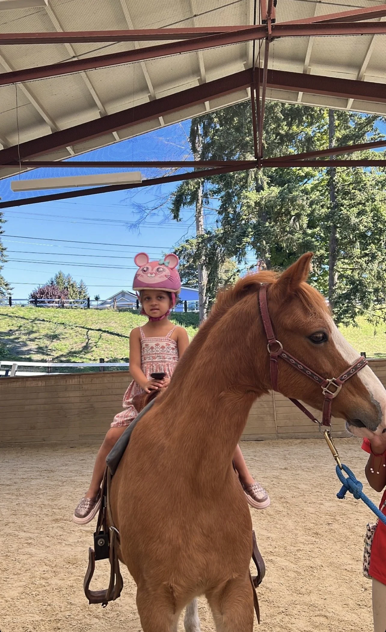 Young girl in pink helmet on pony ride at Seattle Farm's Buy Tickets fall event in Washington State