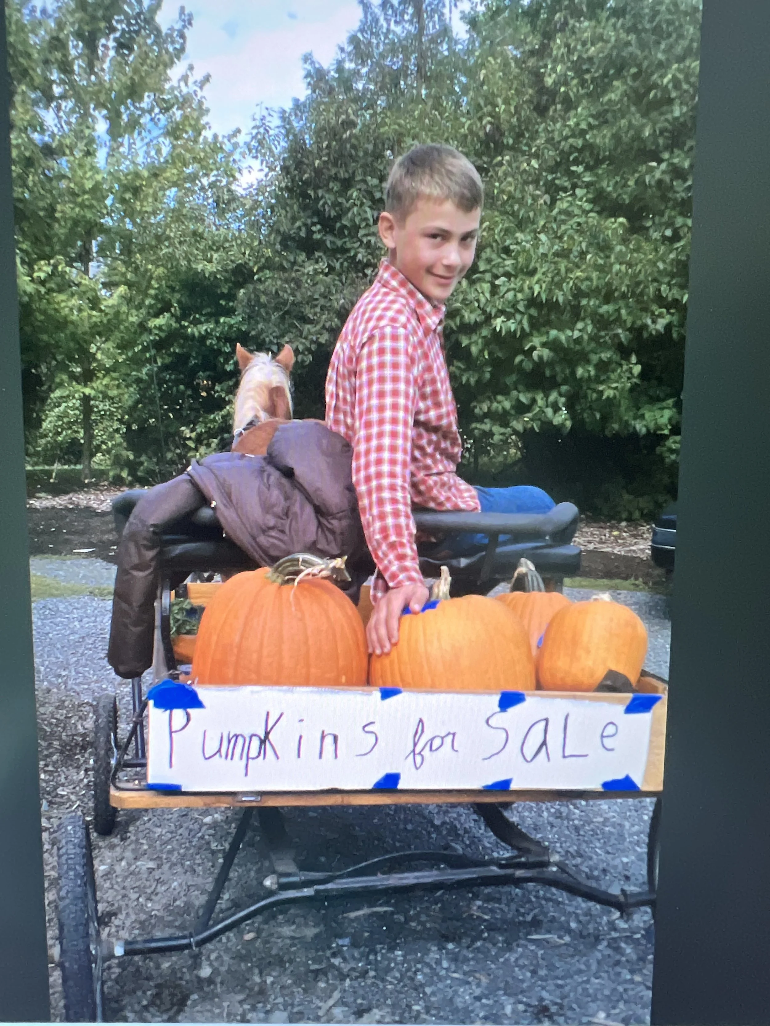 Child selling pumpkins from pony-pulled cart at Pumpkins and Ponies event Seattle Farm