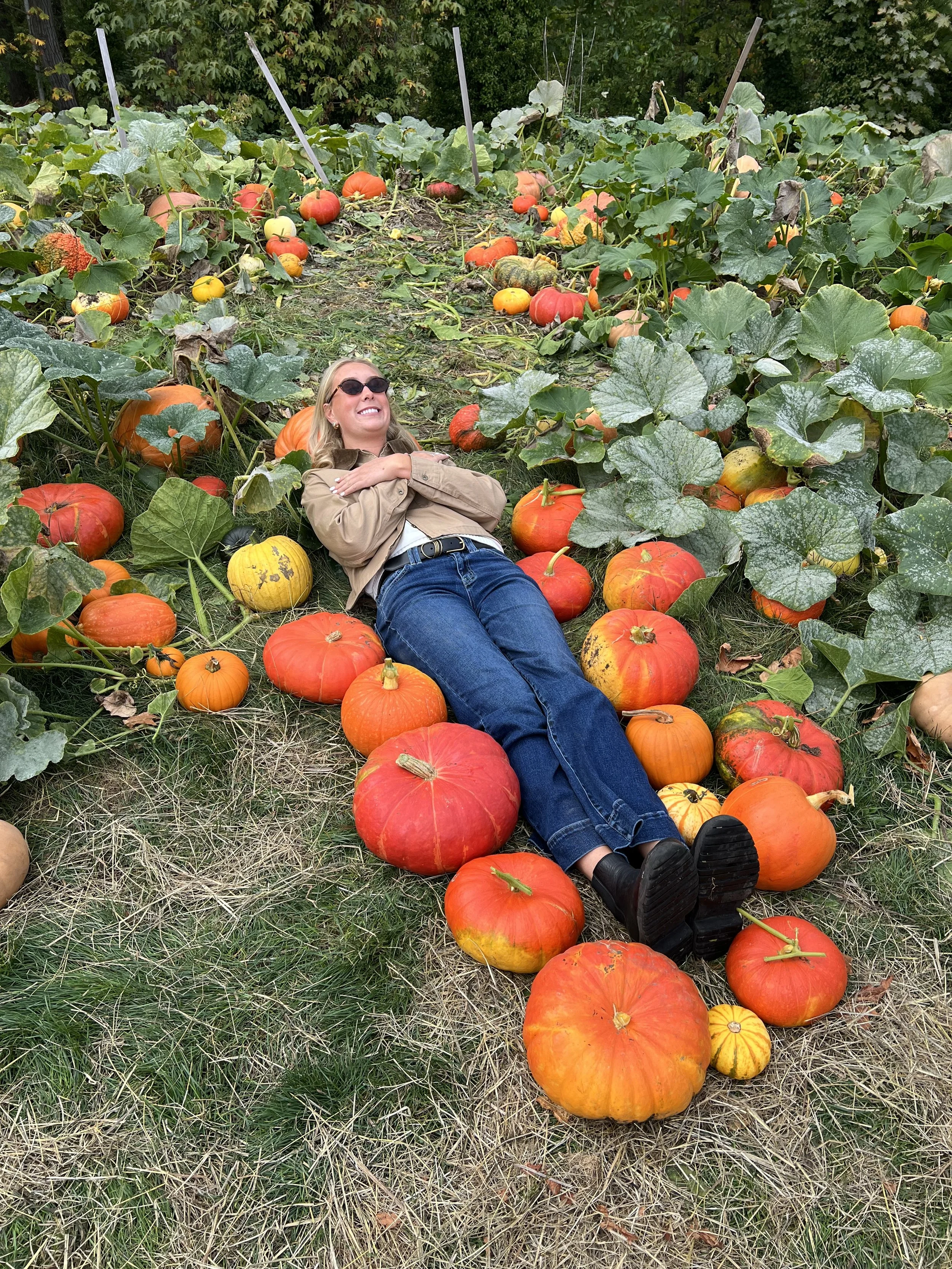 Fall Family Activities Near Seattle: A Local’s Guide