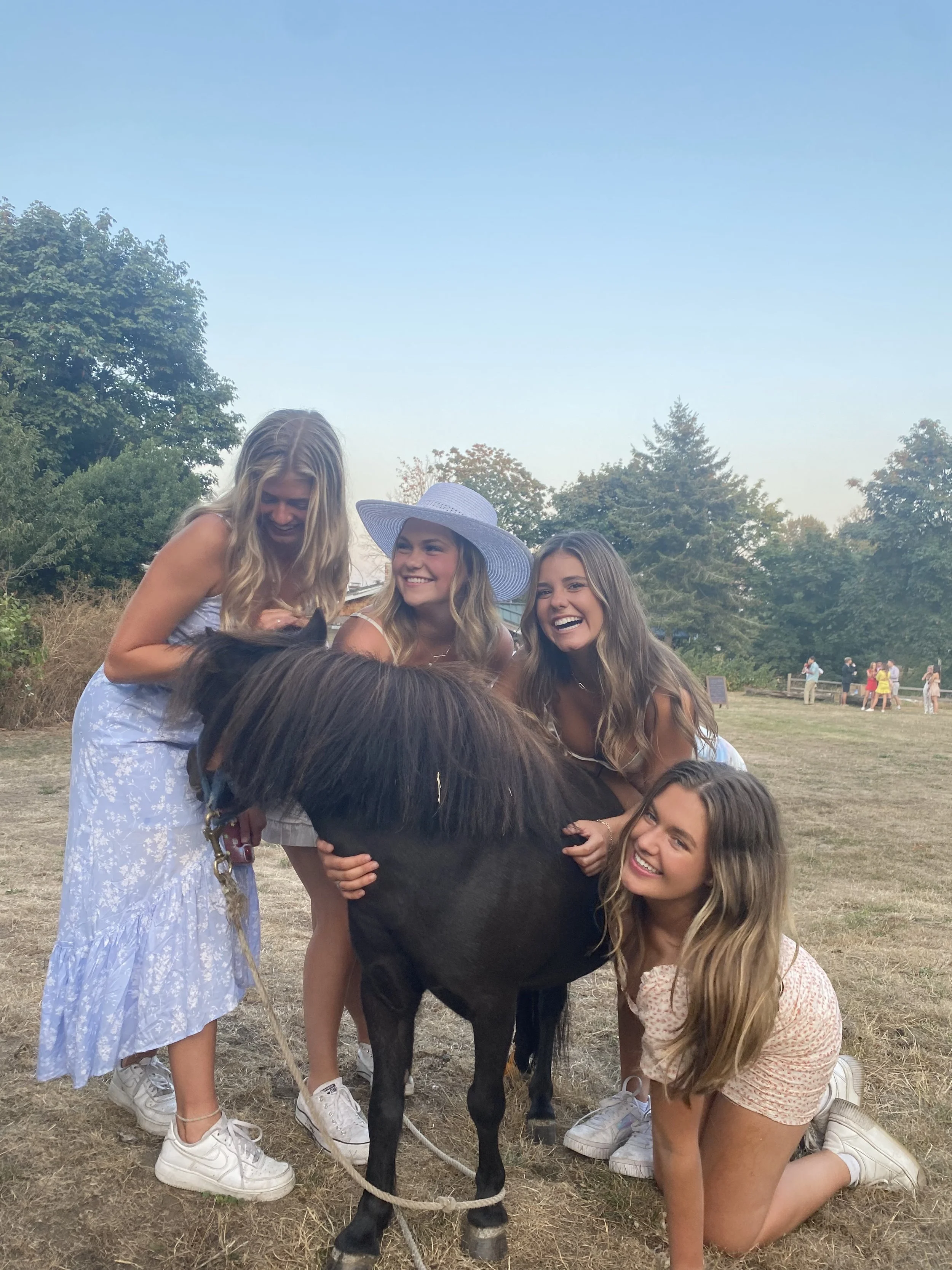 Five smiling young women and a small black horse with a blue halter, outdoors in a grassy field with trees in the background.