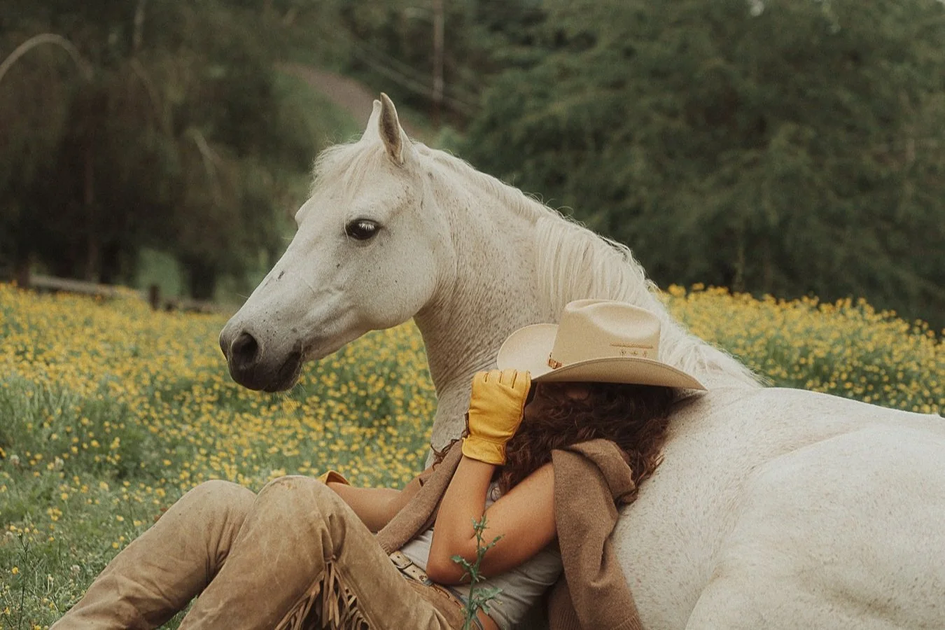 A woman with curly hair, wearing a cowboy hat and yellow gloves, resting on a white horse in a field of yellow flowers with green trees in the background.