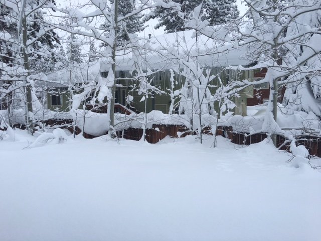 7 foot high fence. My old house in South Lake Tahoe.