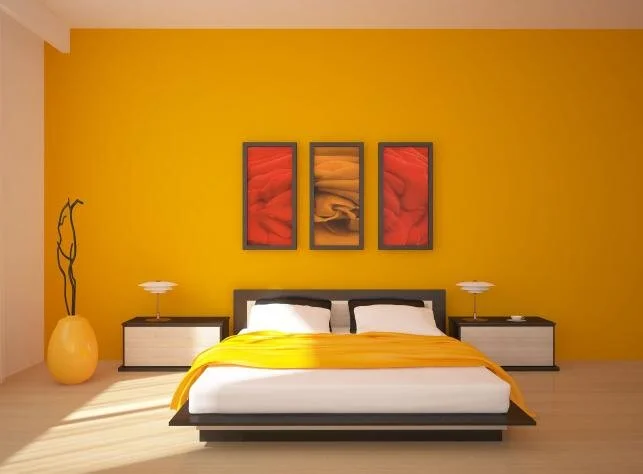 ( + ) supplies-1st time cleaning-3b1ba