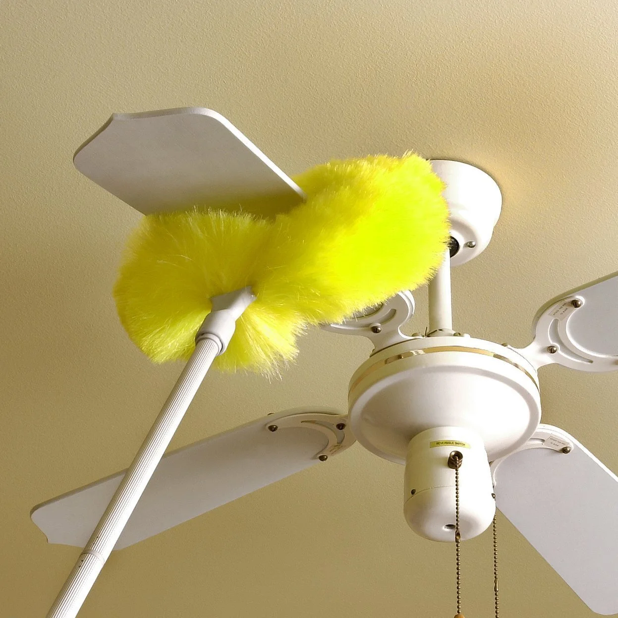 Dust Ceiling Fan
