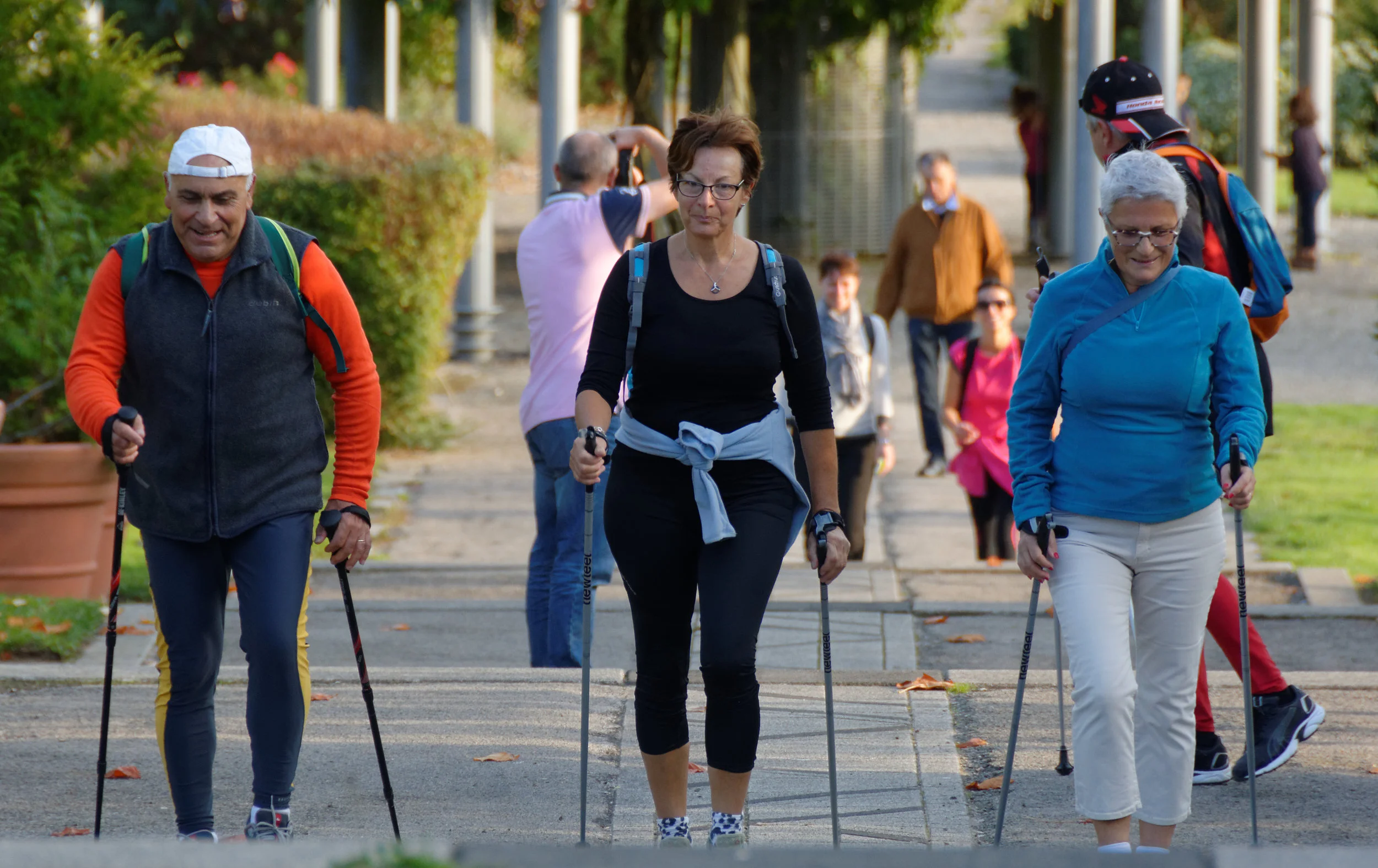 Boomers walking.jpg