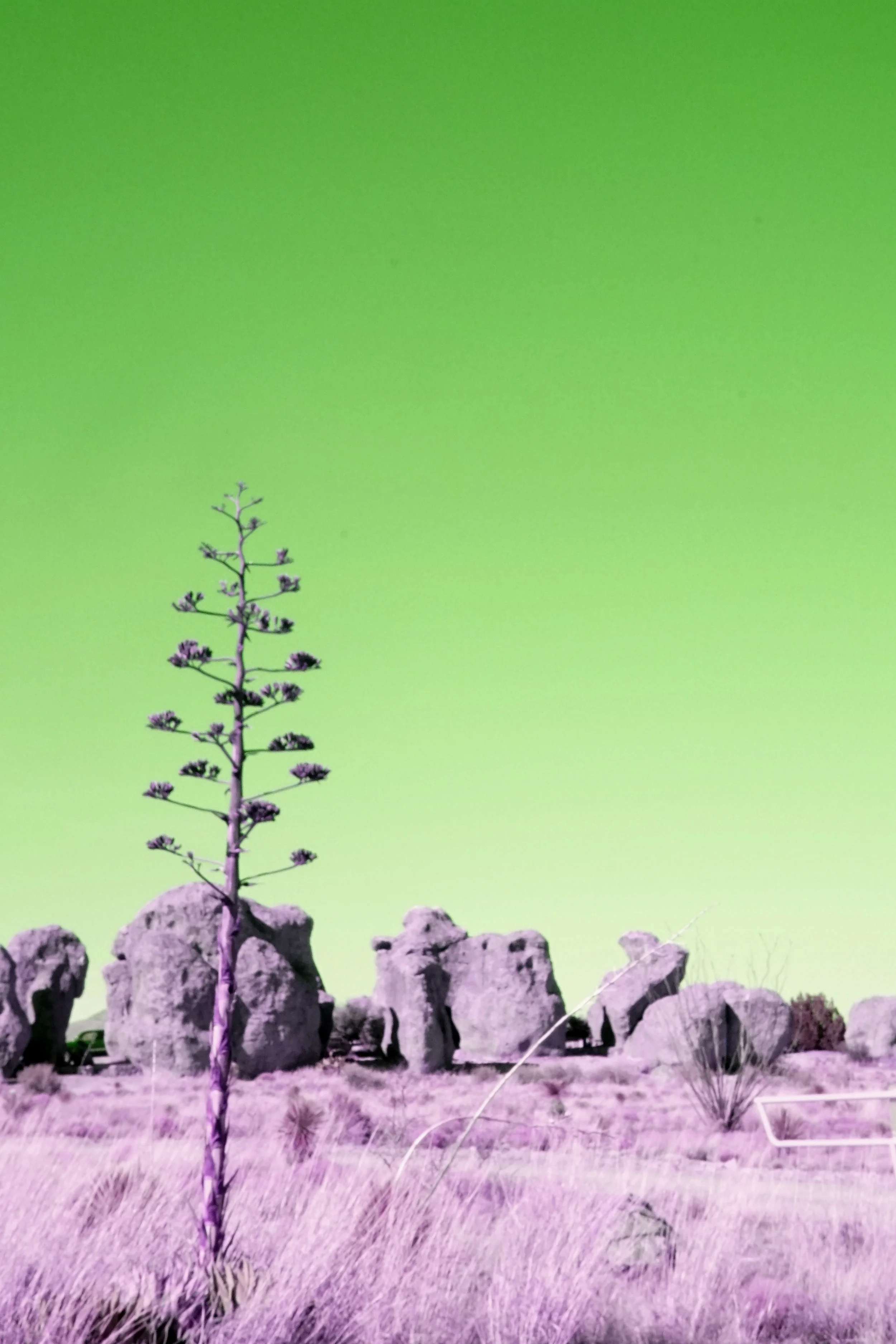 City Of Rocks State Park by Araya Jensen