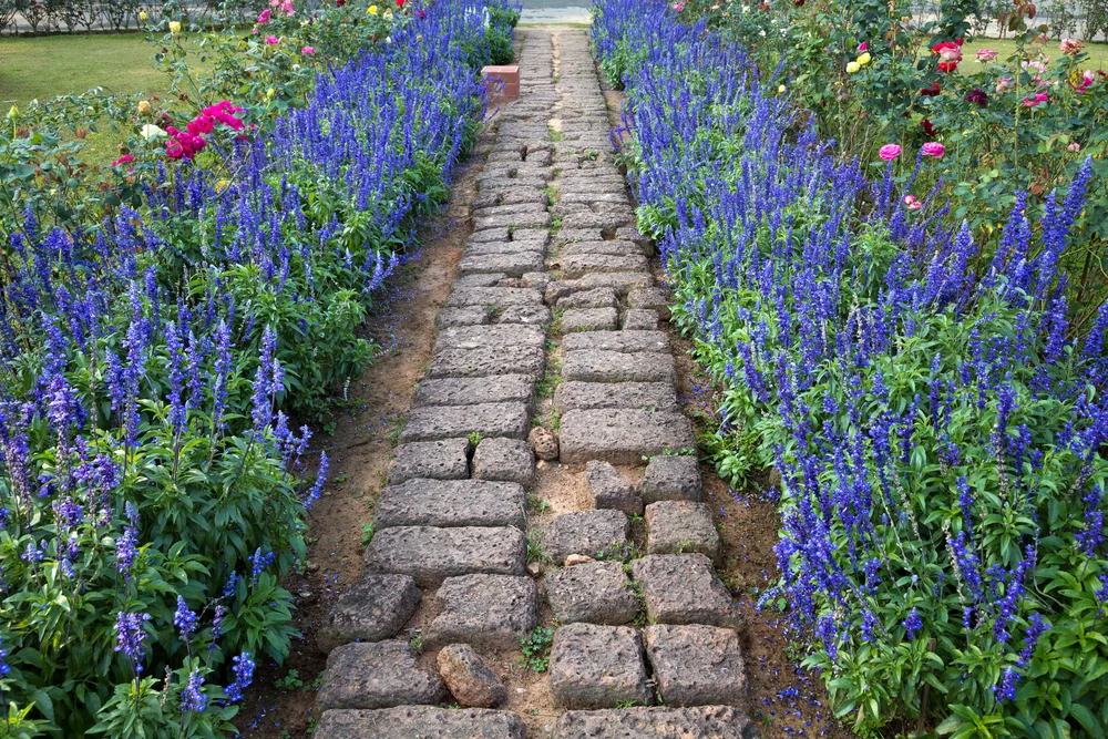 Improve Your Life with DBT Skills