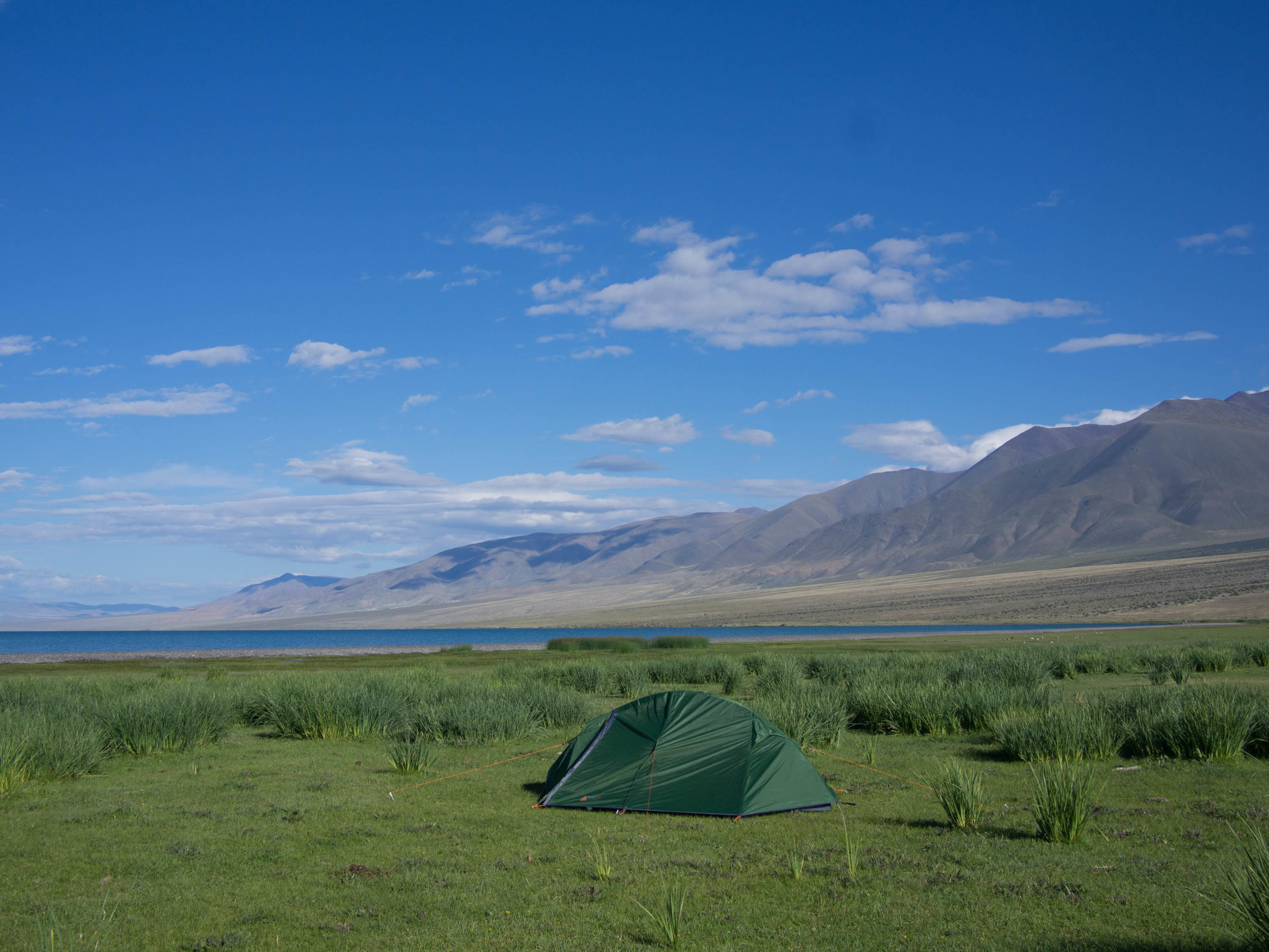 Room with a view (my Vango Blade 200). Western Mongolia is made for camping. 