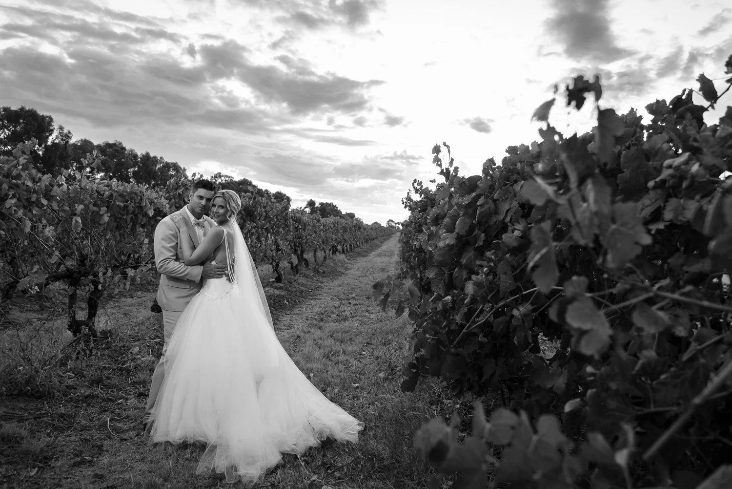 Stevenson Wedding WebGallery 520 BW.jpg