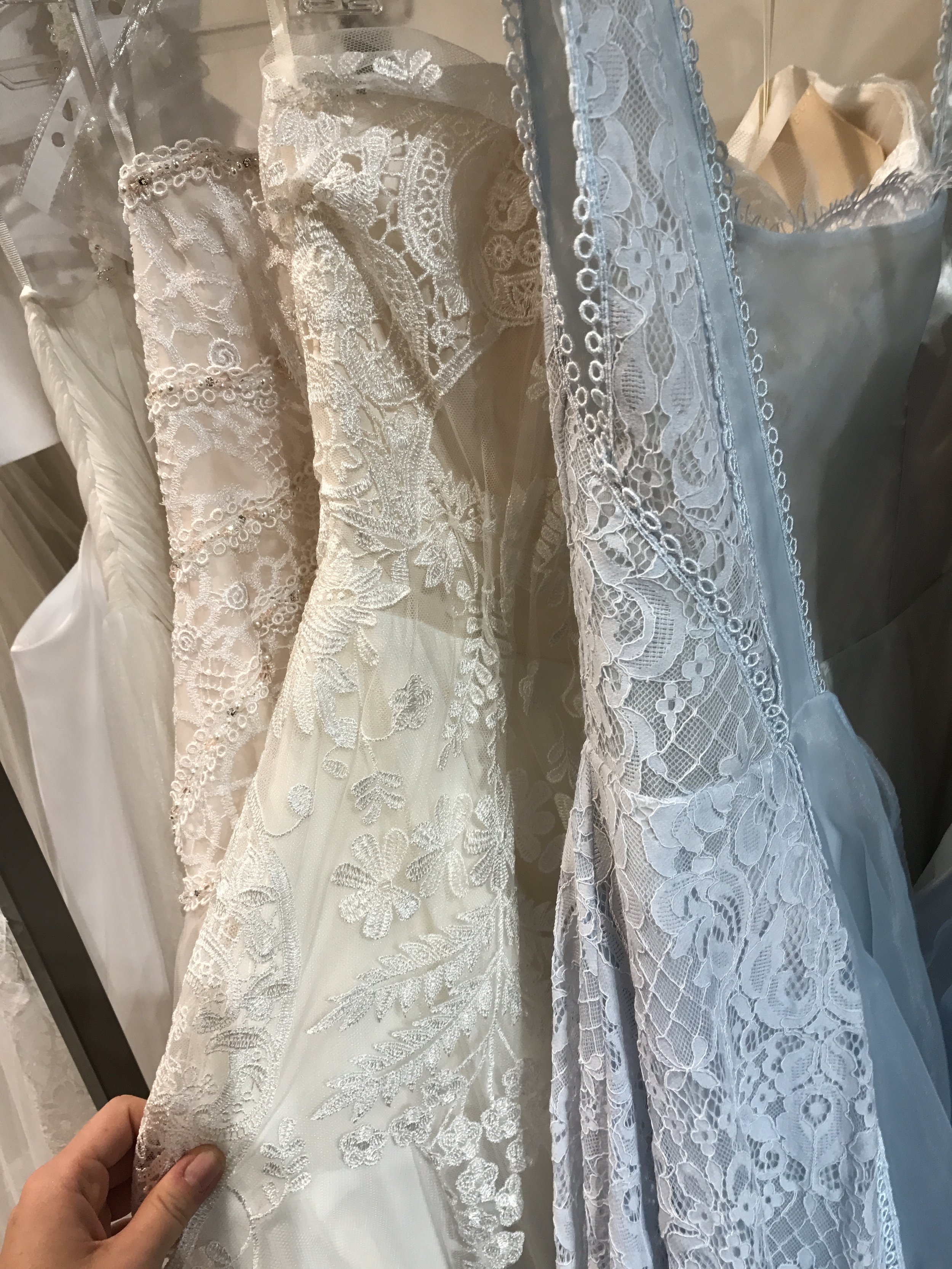 Photo 28-7-17, 9 55 09 am.jpg