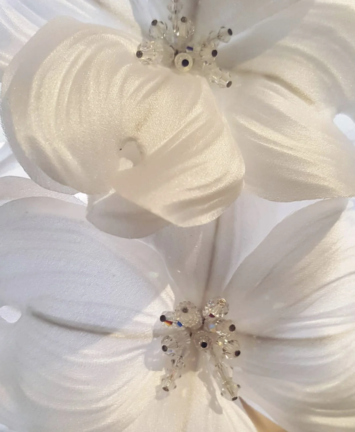 Photo 30-8-17, 12 34 46 pm.jpg