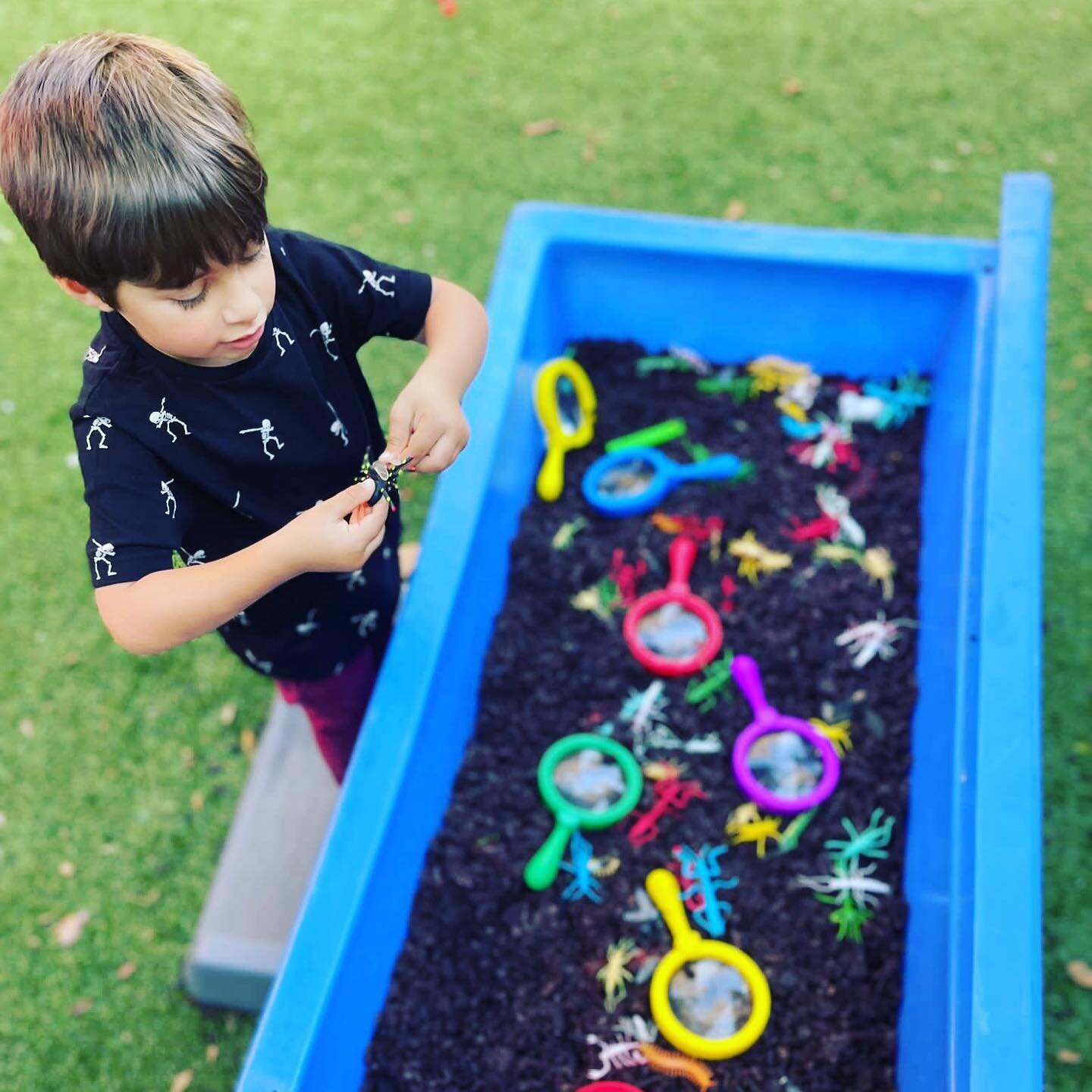 Sensory bins are such a great way for the kids to explore different textures by sight, smell, and touch. We change them every week so that they have a different theme and sensation. The kids love it! 

#playbasedlearning #playbasedpreschool #socialem